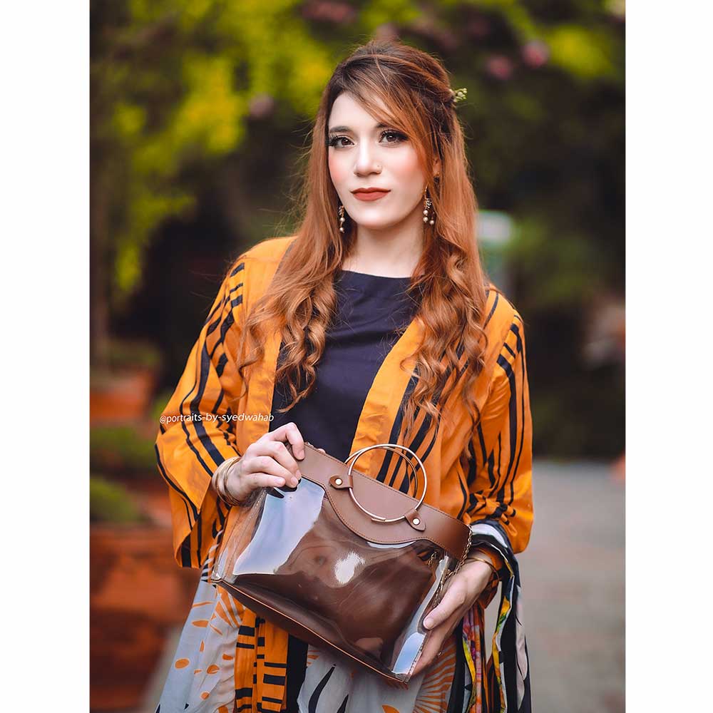 Acrylic Bag Brown - astorebags.pk